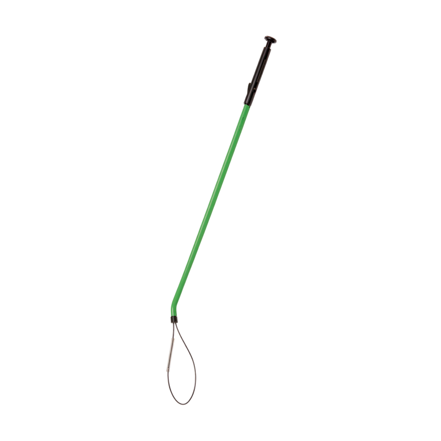 Green Lobster Snare