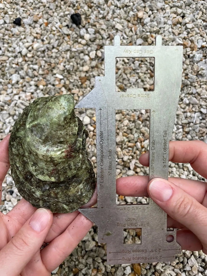 Ultimate Shellfish Gauge Measuring Tool Florida Edition