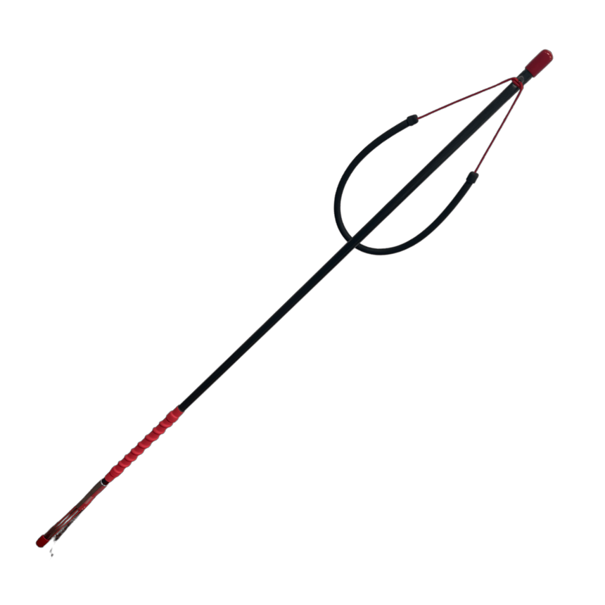 Zookeeper Predator Lionfish Sling Pole Spear