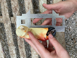 Ultimate Shellfish Gauge Measuring Tool Florida Edition