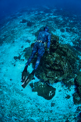 Neptonics Ocean Stealth Spearfishing Wetsuit