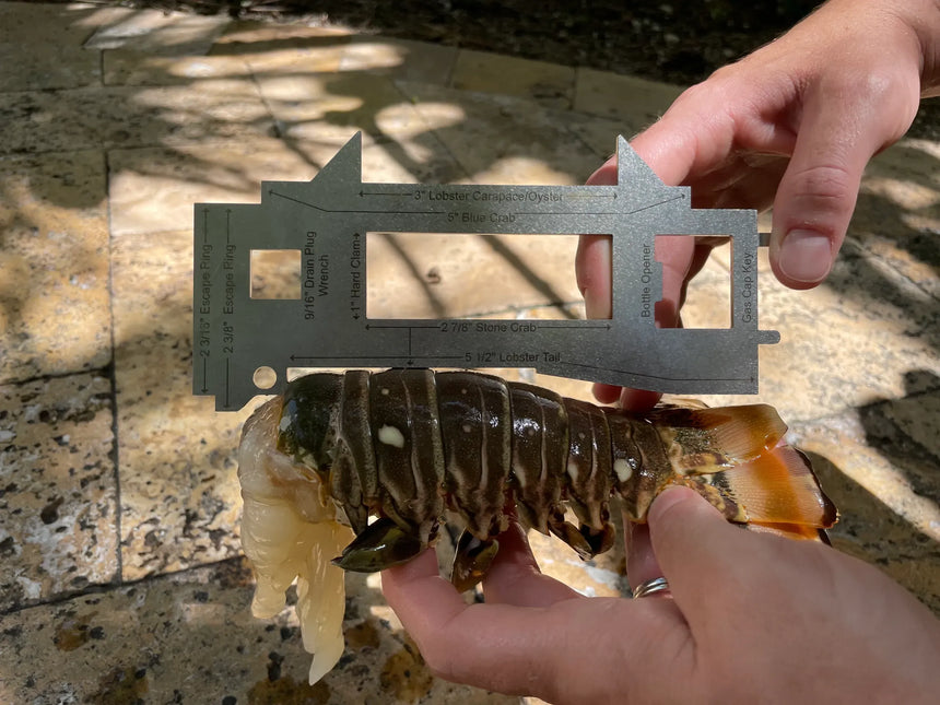 Ultimate Shellfish Gauge Measuring Tool Florida Edition