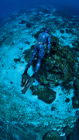 Neptonics Ocean Stealth Spearfishing Wetsuit