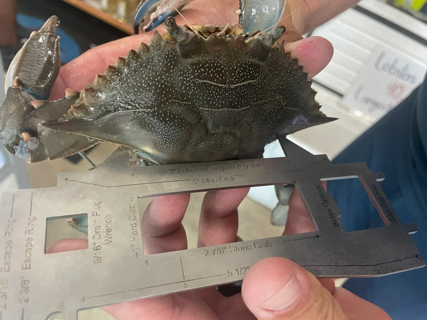 Ultimate Shellfish Gauge Measuring Tool Florida Edition