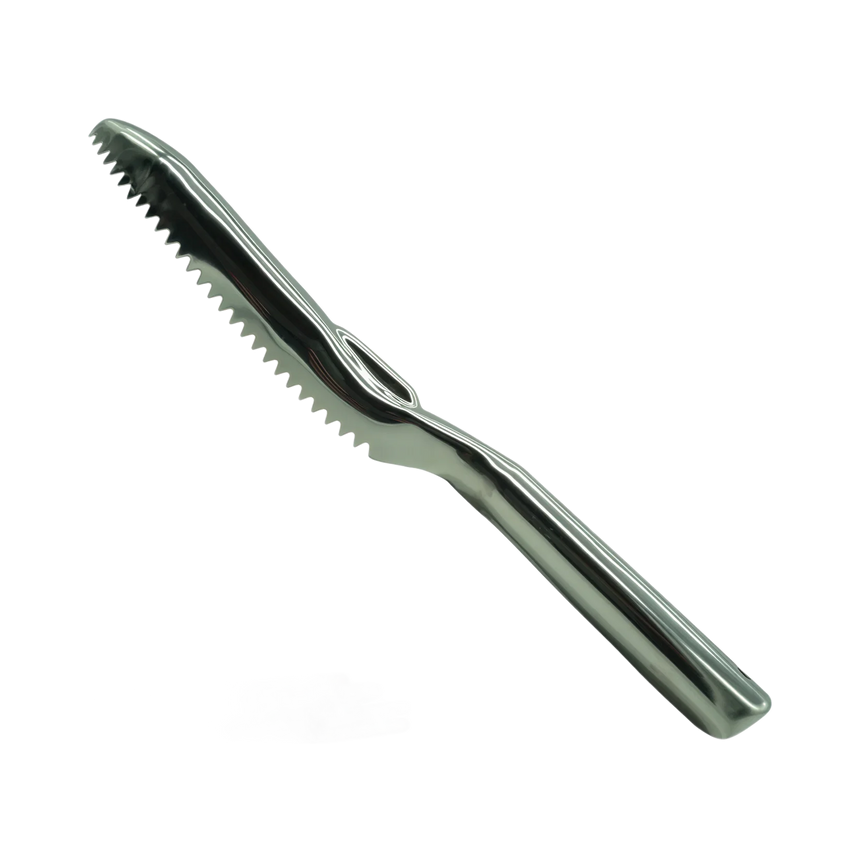 Neptonics Fish Scaler